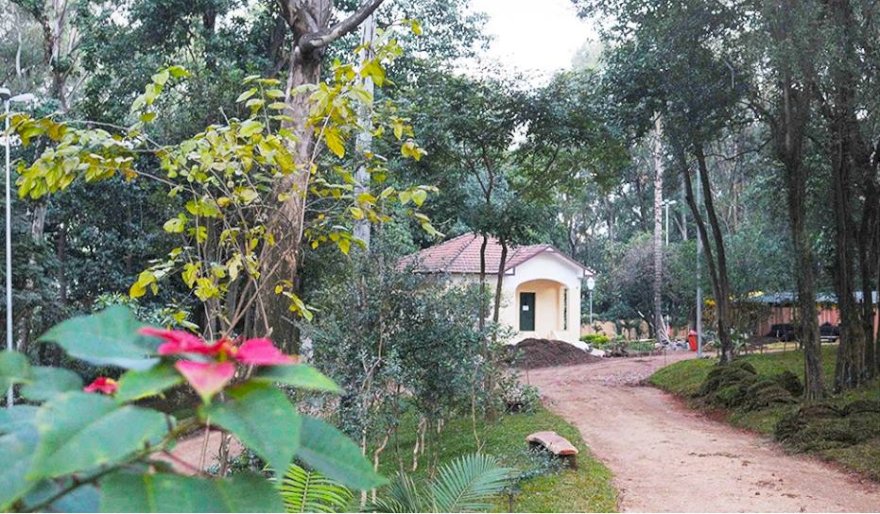 Parque da Saúde