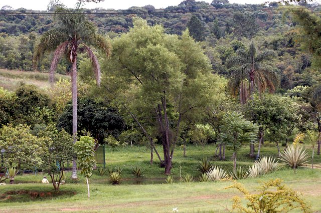 Horto Florestal de Guarulhos (Horto Burle Marx)